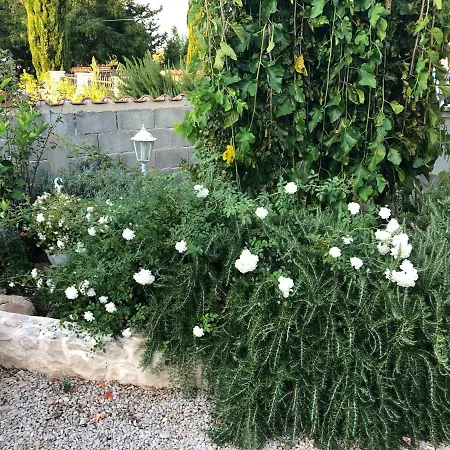 Daire House Secret Garden 1