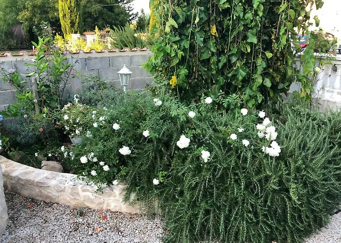 Daire House Secret Garden 1